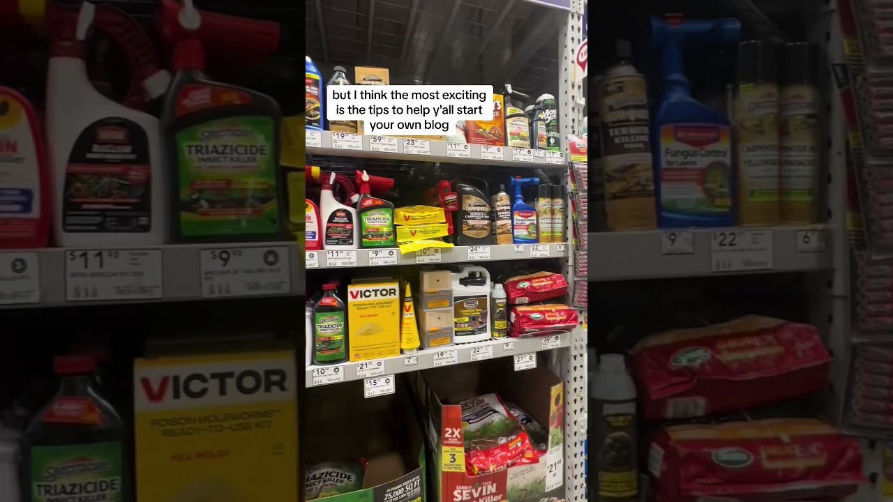 Sunday Plans, Blogging Hacks & Making Money Online #blogging